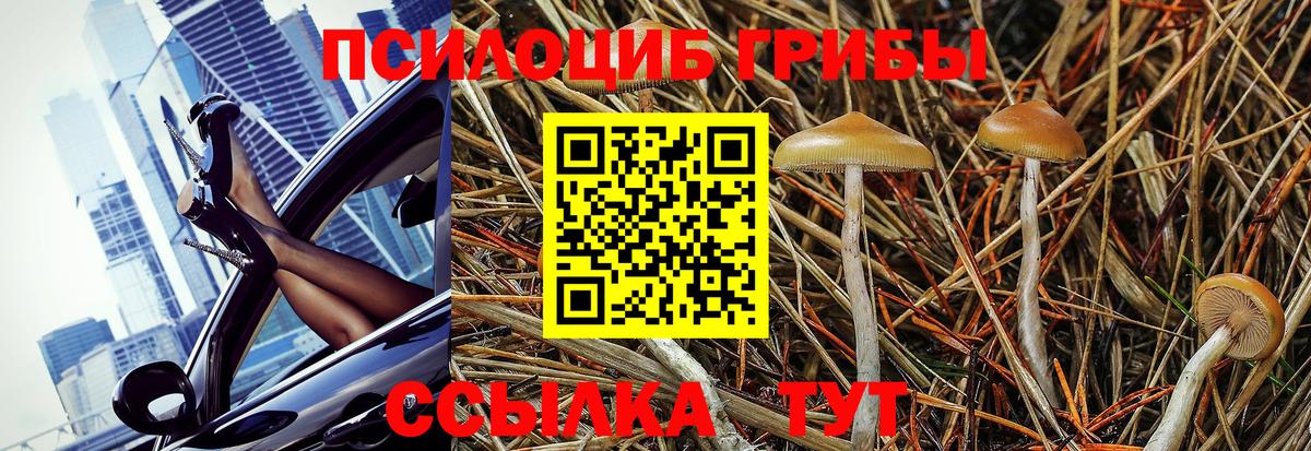 Псилоцибиновые грибы ЛСД Асино